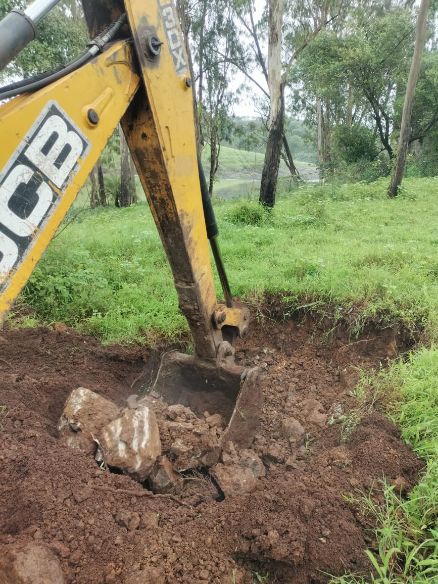 8 SEP-SW-8 JAMBHUL -2